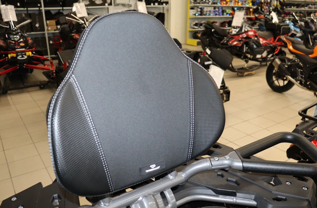 Квадроцикл PROMAX RENEGADE 300 LONG WINCH PRO (2025) в Махачкале