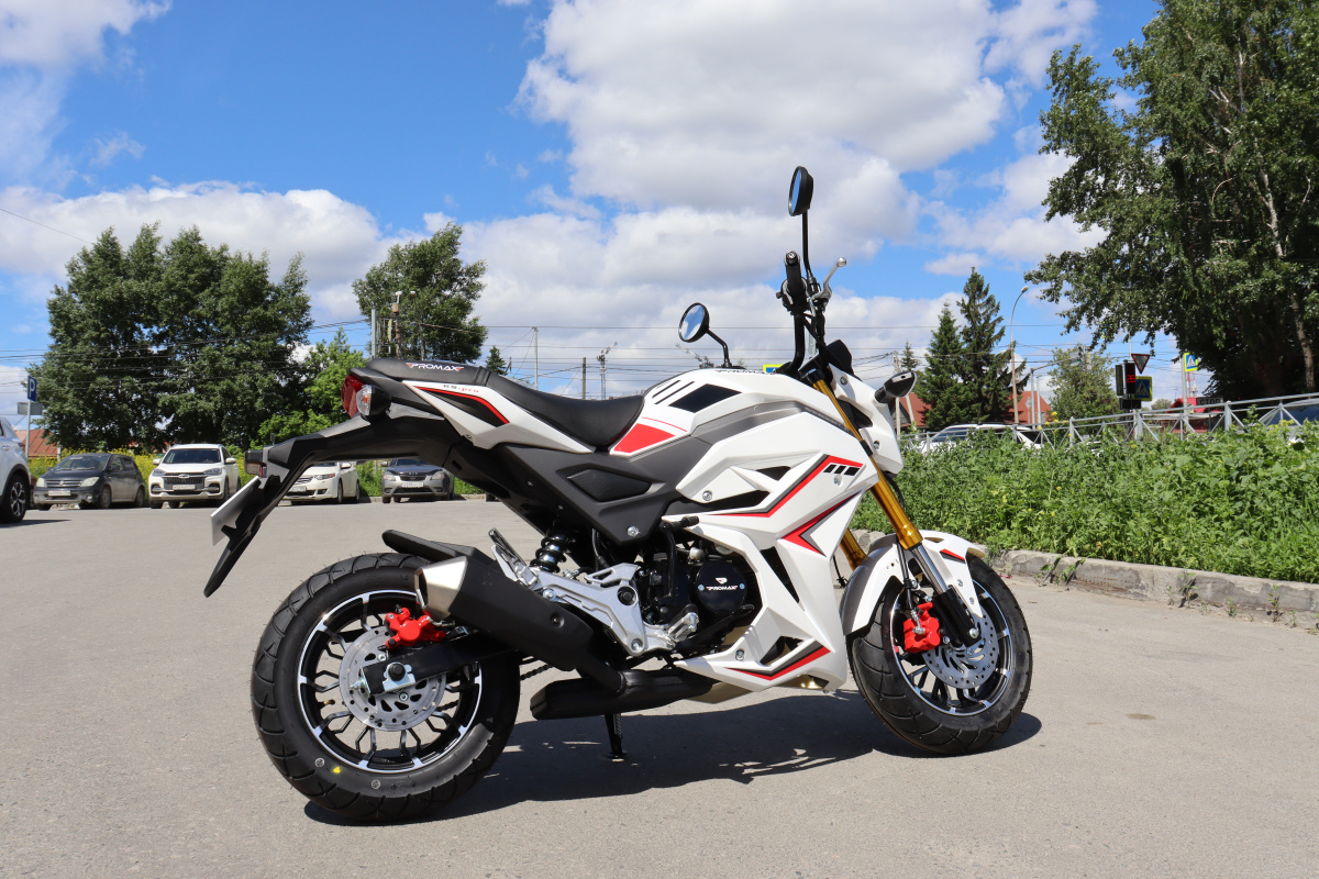 Мотоцикл PROMAX STRYKER 200(49) 2.0 в Махачкале