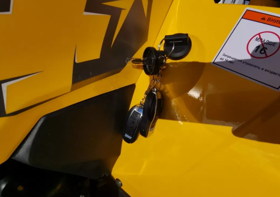 Квадроцикл MOTOLAND (МОТОЛЕНД) VOX200 WILD TRACK X PRO (баланс. вал) в Махачкале