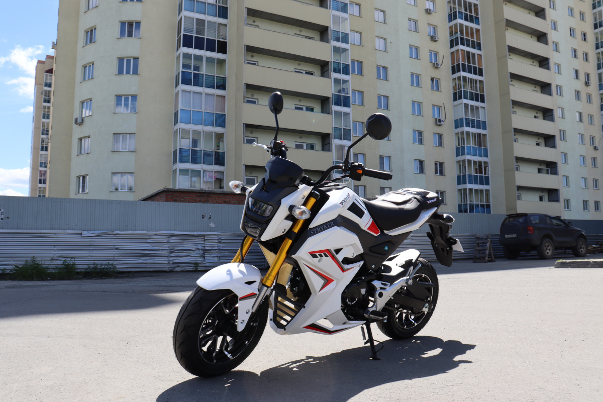 Мотоцикл PROMAX STRYKER 200(49) 2.0 в Махачкале
