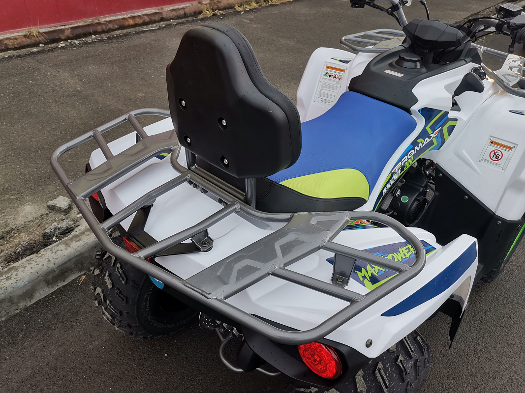 Квадроцикл PROMAX RENEGADE 280 LUX (2025) в Махачкале