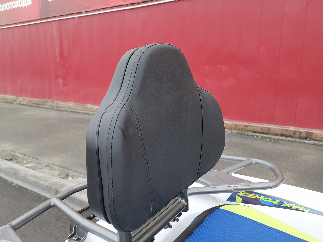 Квадроцикл PROMAX RENEGADE 280 LUX (2025) в Махачкале