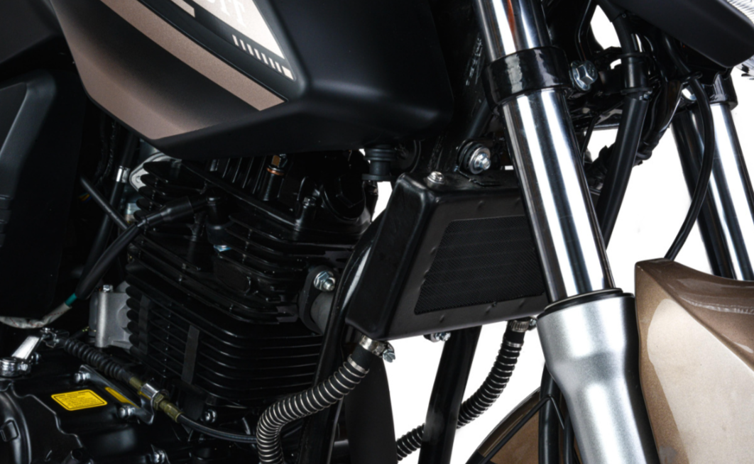 Мотоцикл MOTOLAND (МОТОЛЕНД) 300 BANDIT в Махачкале