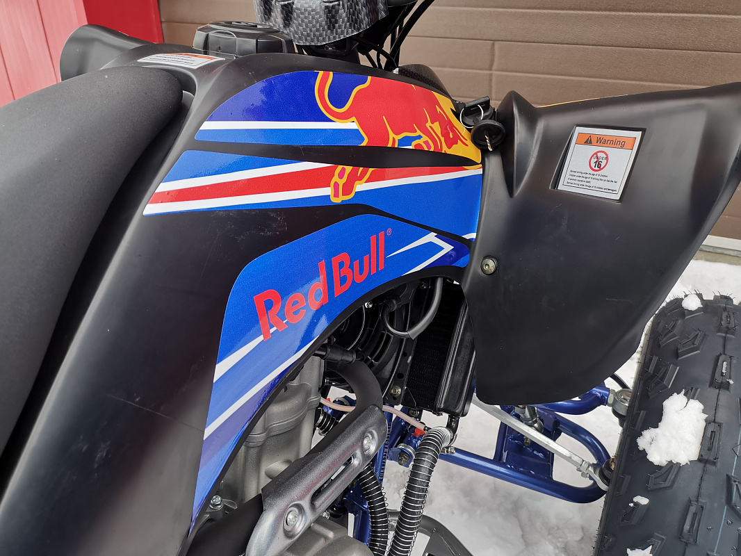 Квадроцикл PROMAX RAPTOR 300 NEW RedBull в Махачкале