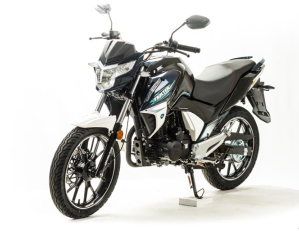 Мотоцикл MOTOLAND (МОТОЛЕНД) FIGHTER 250 в Махачкале