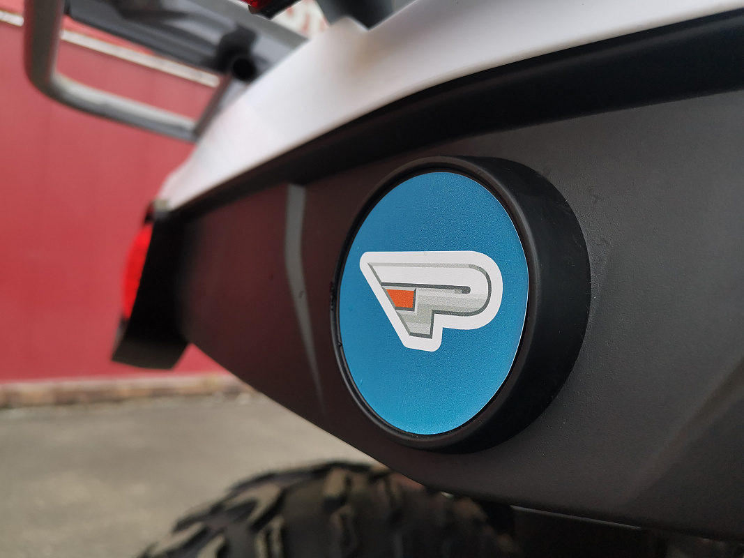 Квадроцикл PROMAX RENEGADE 280 LUX (2025) в Махачкале