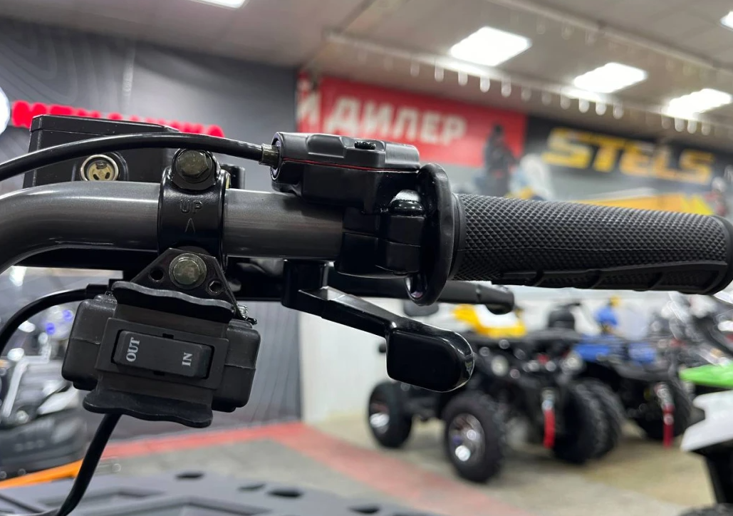 Квадроцикл PROMAX RENEGADE 300 LONG WINCH PRO (2025) в Махачкале