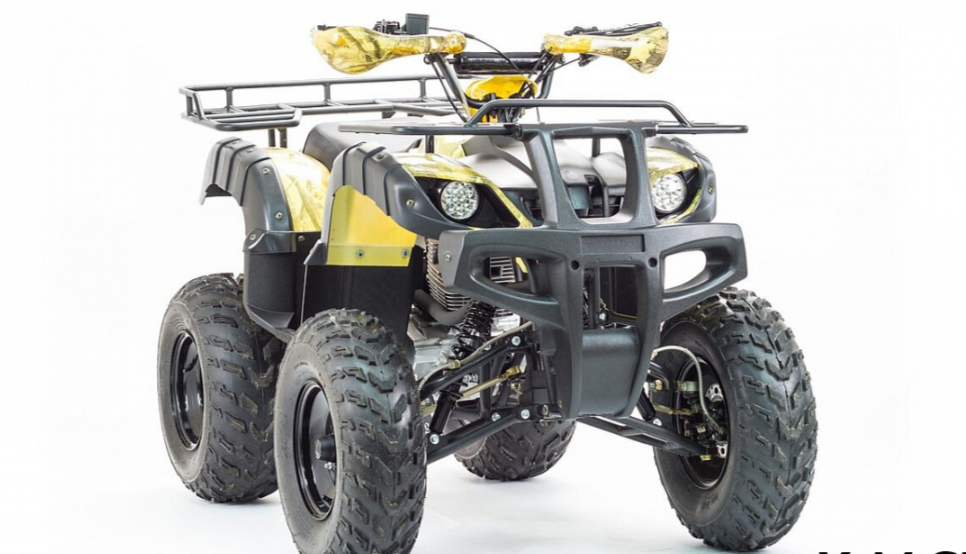 Квадроцикл MOTOLAND (МОТОЛЕНД) 250 ADVENTURE в Махачкале