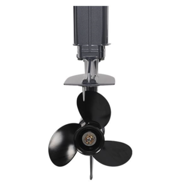 Лодочный мотор ALLFA CG Т40FW S в Махачкале