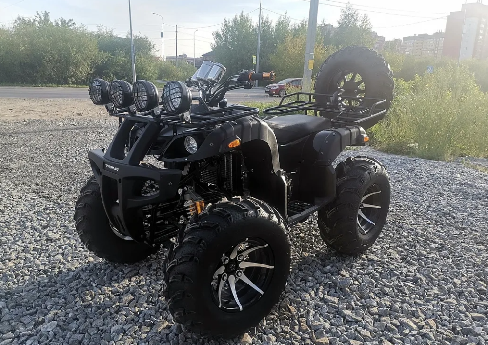 Квадроцикл PROMAX LEO 300 Max (кардан) в Махачкале