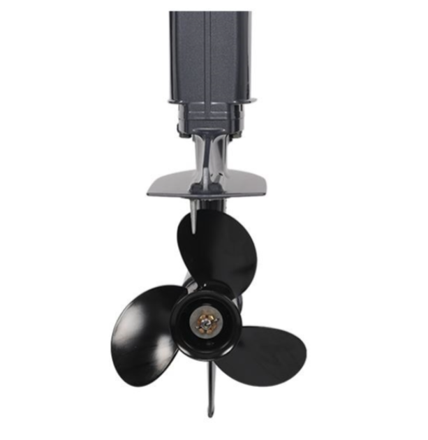 Лодочный мотор ALLFA CG Т40FWT S в Махачкале