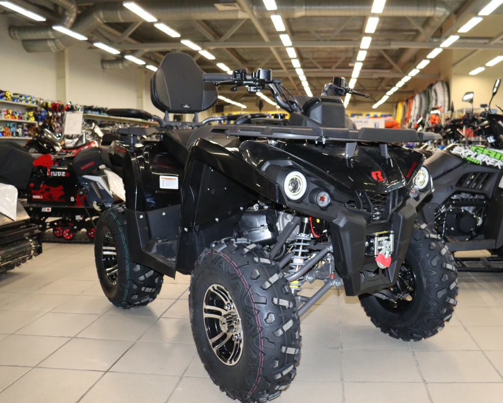 Квадроцикл PROMAX RENEGADE 300 LONG WINCH PRO (2025) в Махачкале