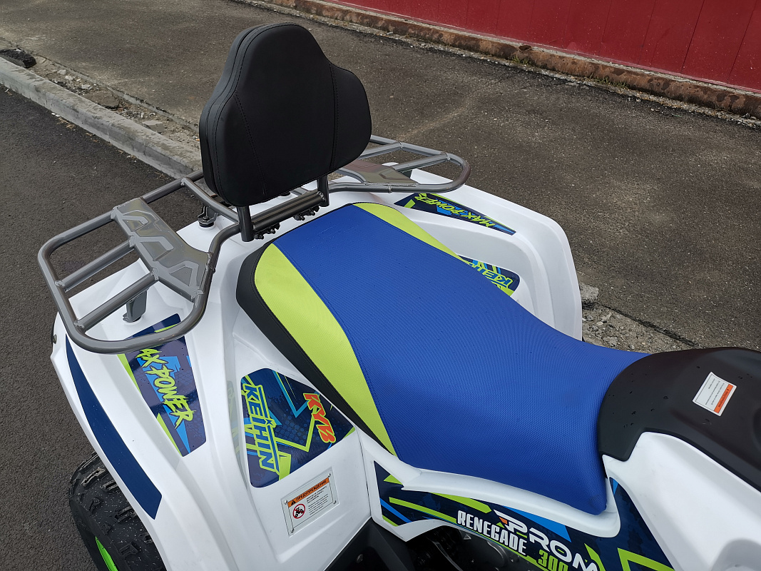 Квадроцикл PROMAX RENEGADE 280 LUX (2025) в Махачкале