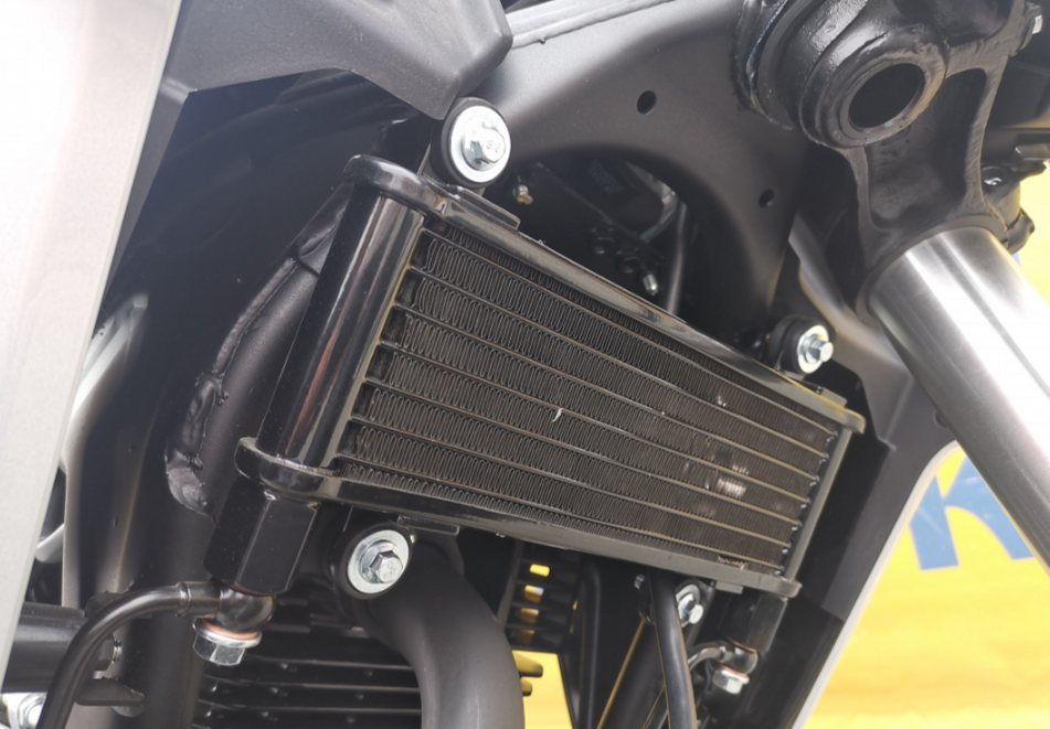 Мотоцикл MOTOLAND (МОТОЛЕНД) 250 CB250 (172FMM-5/PR250) (2022 г.) в Махачкале