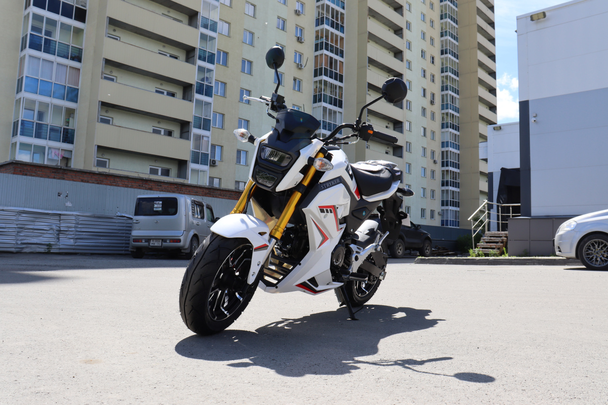 Мотоцикл PROMAX STRYKER 200(49) 2.0 в Махачкале