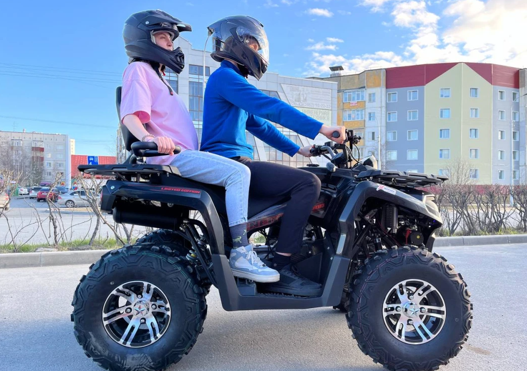 Квадроцикл PROMAX RENEGADE 300 LONG WINCH PRO (2025) в Махачкале