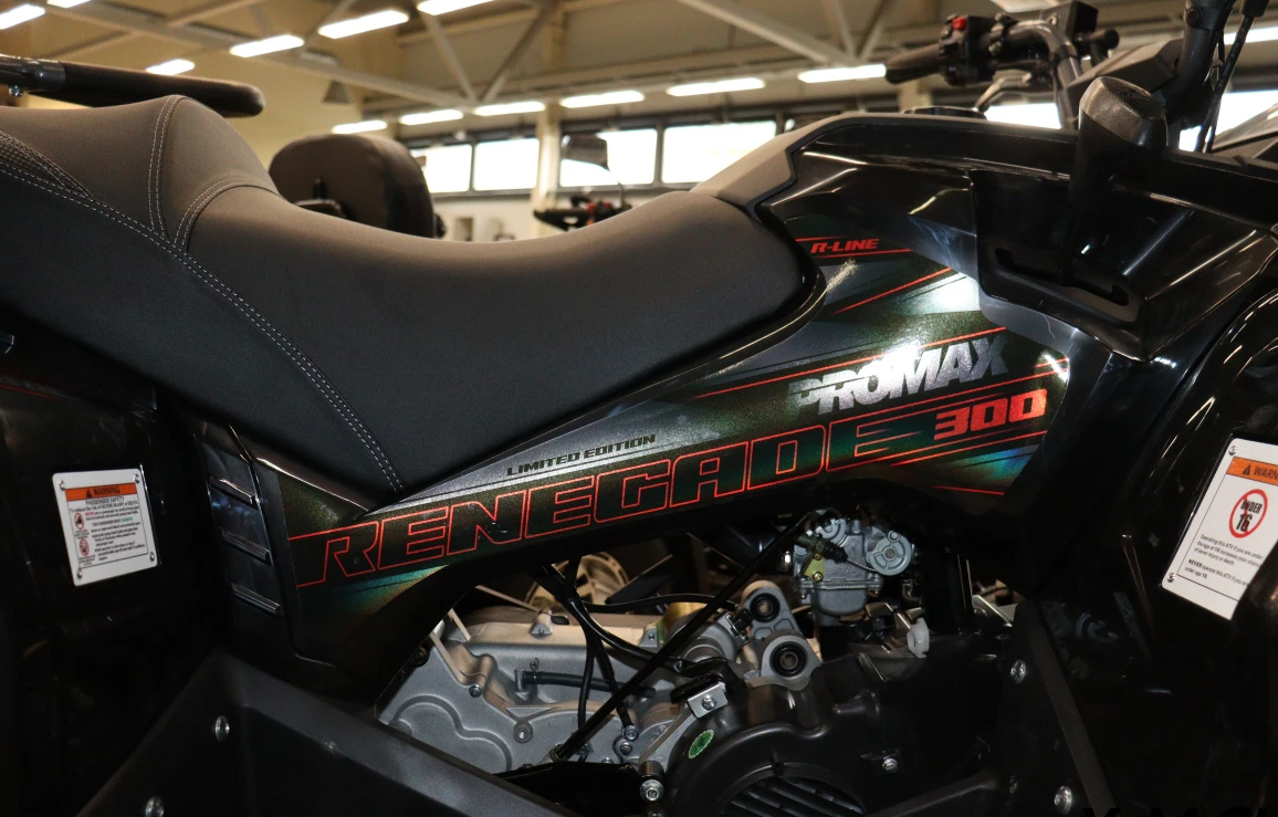 Квадроцикл PROMAX RENEGADE 300 LONG WINCH PRO (2025) в Махачкале