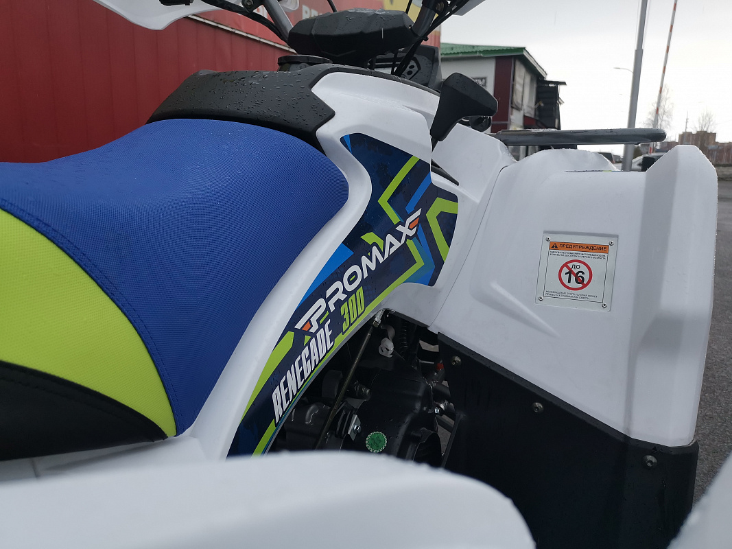 Квадроцикл PROMAX RENEGADE 280 LUX (2025) в Махачкале