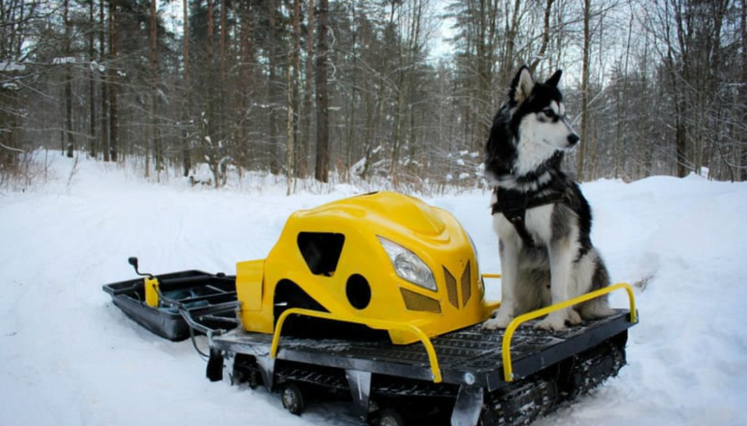 Мотобуксировщик LEBEDEV MOTORS ВОЛКОДАВ POWER V13 в Махачкале