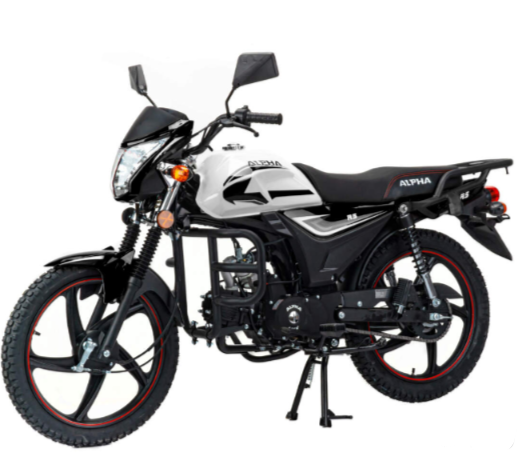 Мопед MOTOLAND (МОТОЛЕНД) Альфа RS 11 (LM48-B) в Махачкале