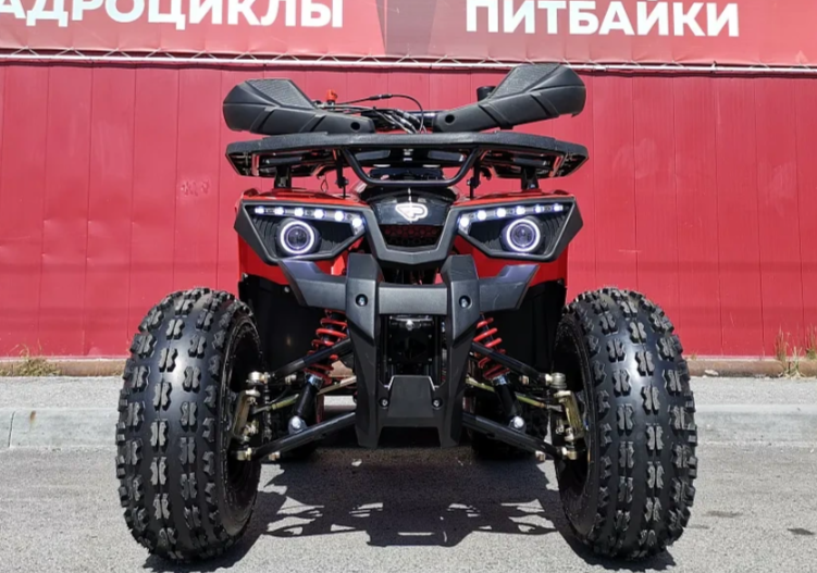 Квадроцикл PROMAX WILD 175 BASIC в Махачкале