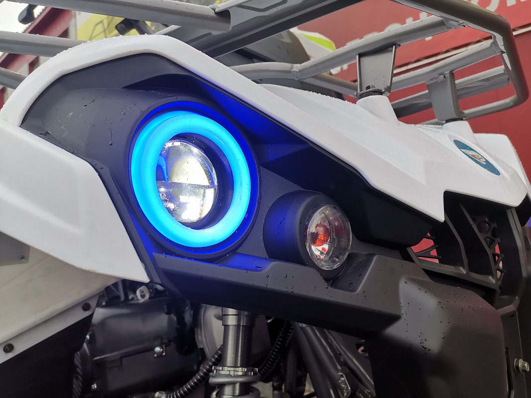 Квадроцикл PROMAX RENEGADE 280 LUX (2025) в Махачкале