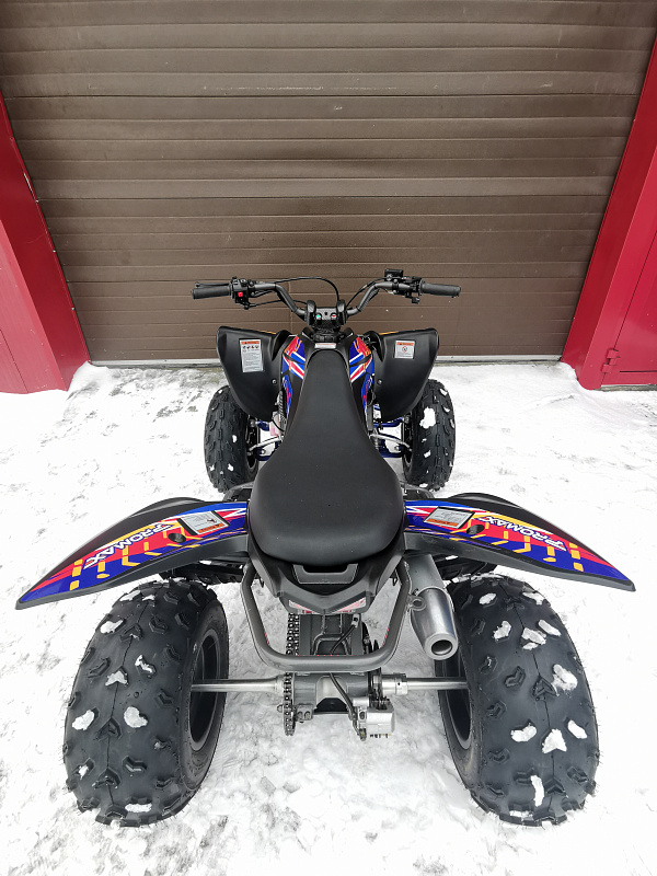 Квадроцикл PROMAX RAPTOR 300 NEW RedBull в Махачкале