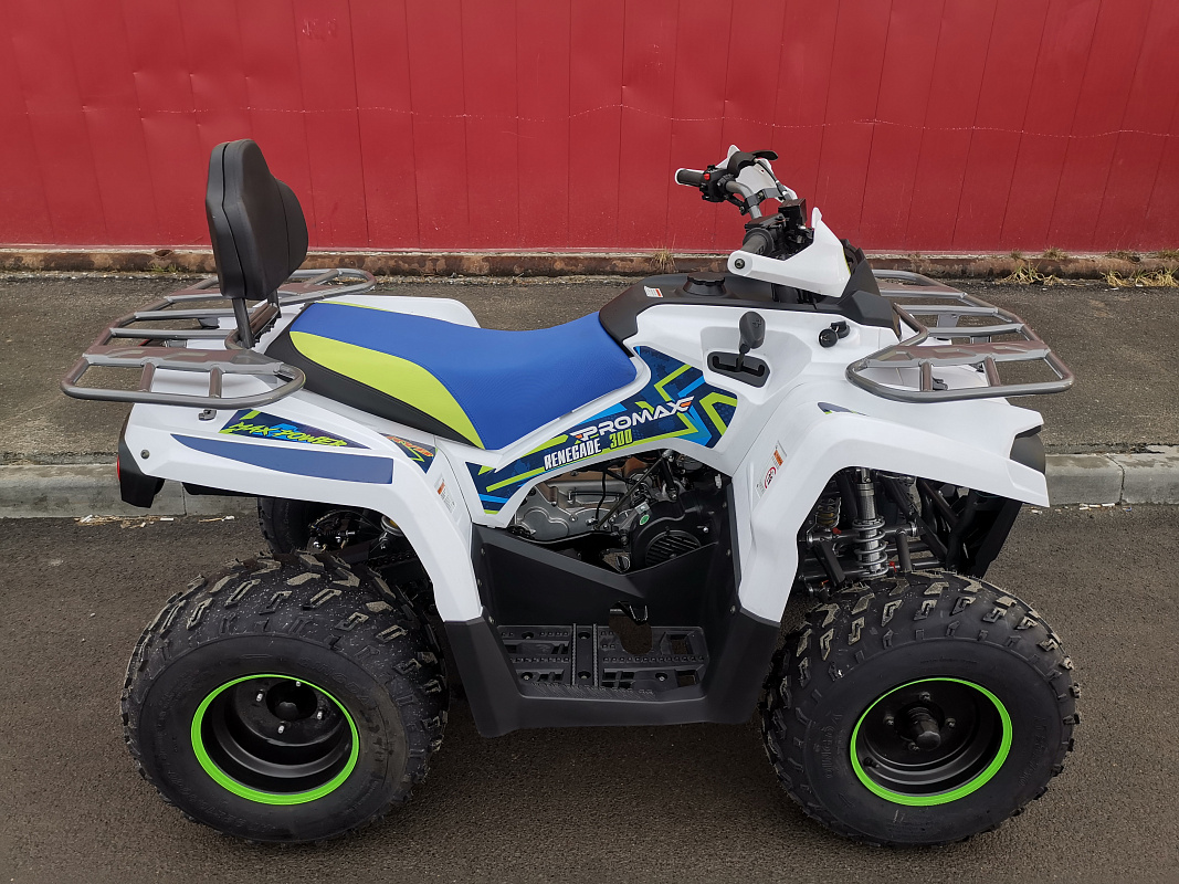 Квадроцикл PROMAX RENEGADE 280 LUX (2025) в Махачкале