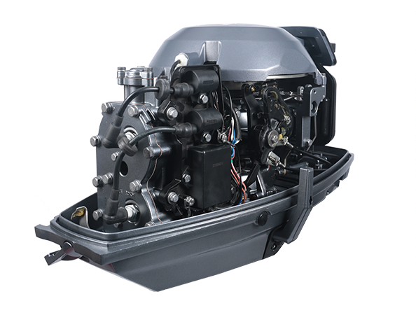 ЛОДОЧНЫЙ МОТОР ALLFA CG T30 FW S в Махачкале