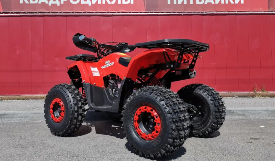 Квадроцикл PROMAX WILD 175 BASIC в Махачкале