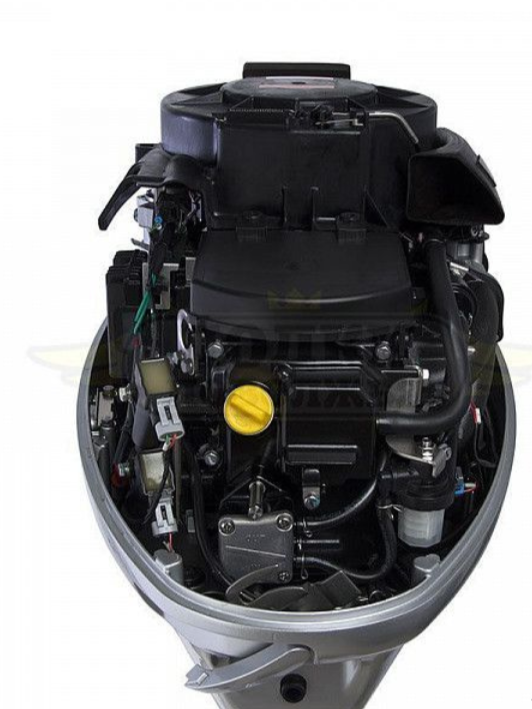 Лодочный мотор SEANOVO SNEF30FEL-EFI в Махачкале