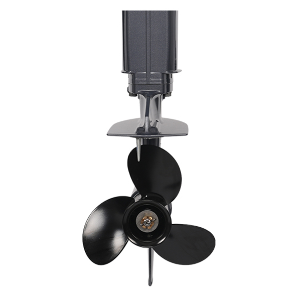 ЛОДОЧНЫЙ МОТОР ALLFA CG T30 FW S в Махачкале