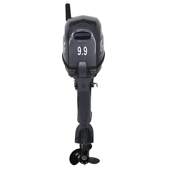 Лодочный мотор ALLFA CG Т9.9(20)MAX в Махачкале