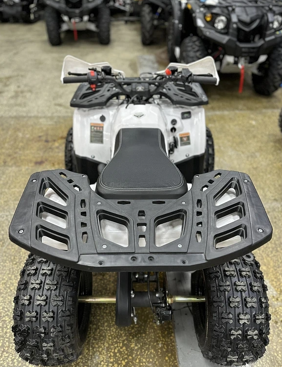 Квадроцикл PROMAX WILD 2.0 190 в Махачкале