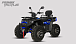 Квадроцикл PROMAX TAURUS 300 MAX-PRO LONG в Махачкале