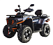 Квадроцикл MOTOLAND (МОТОЛЕНД) 300 MAX X в Махачкале