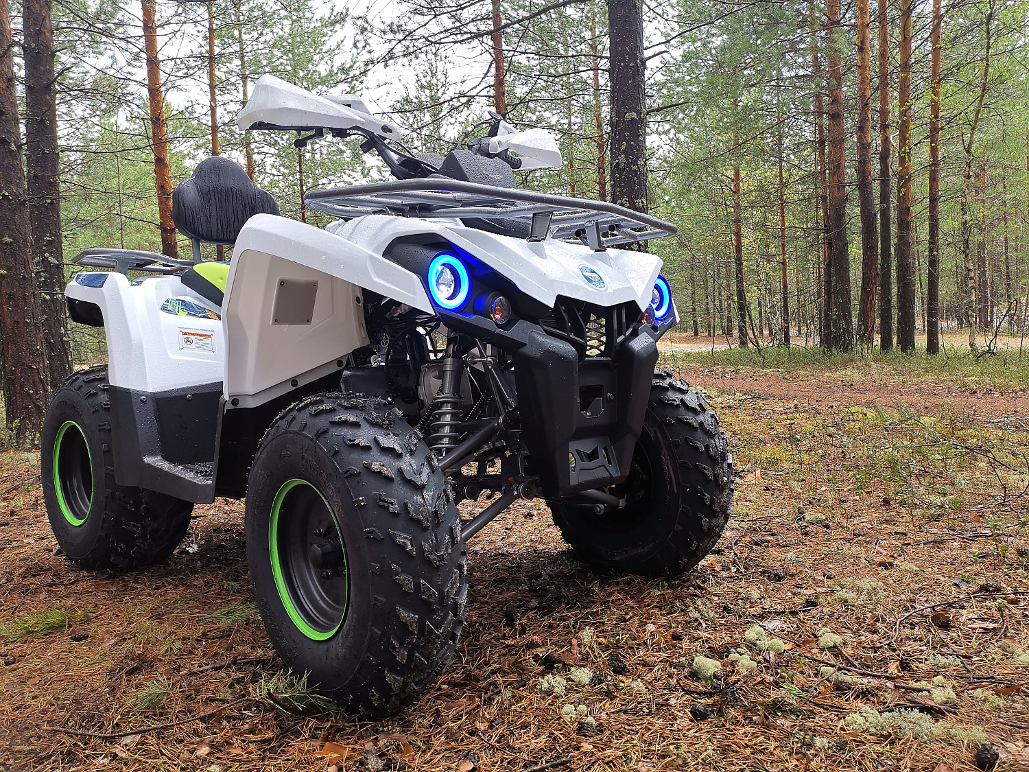 Квадроцикл PROMAX RENEGADE 280 (2025) в Махачкале