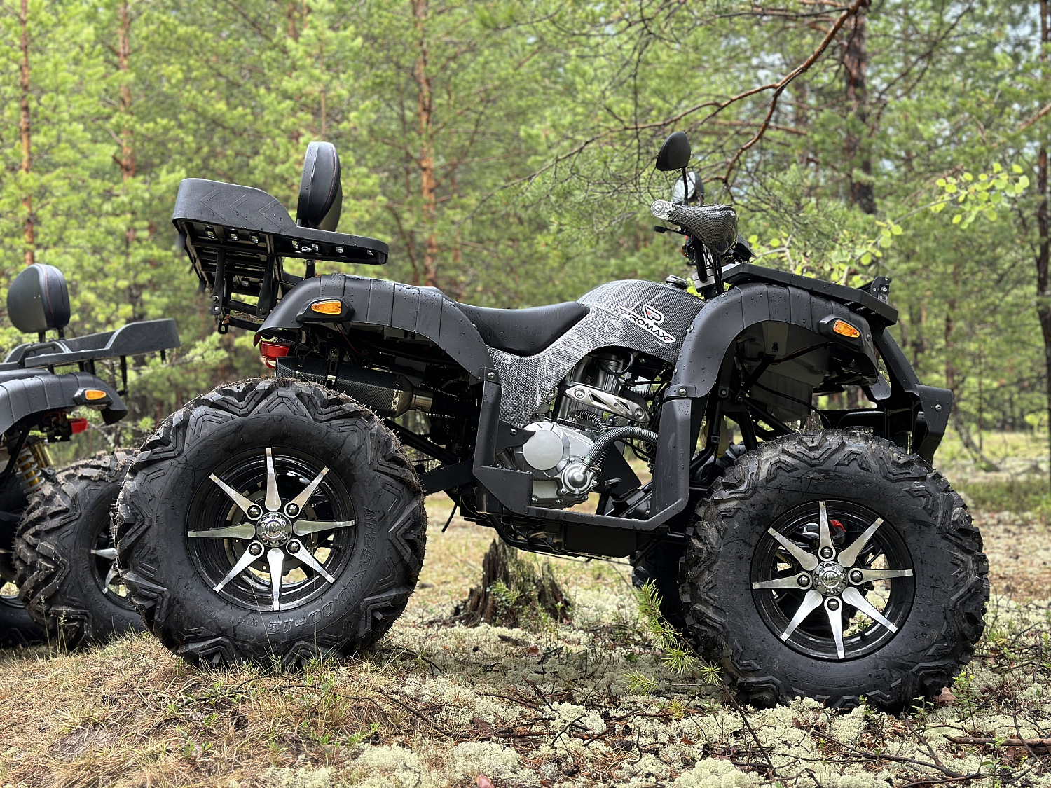 Квадроцикл PROMAX 320 DOMINATOR (2025) в Махачкале