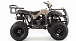 Квадроцикл MOTOLAND (МОТОЛЕНД) 200 ALL ROAD в Махачкале