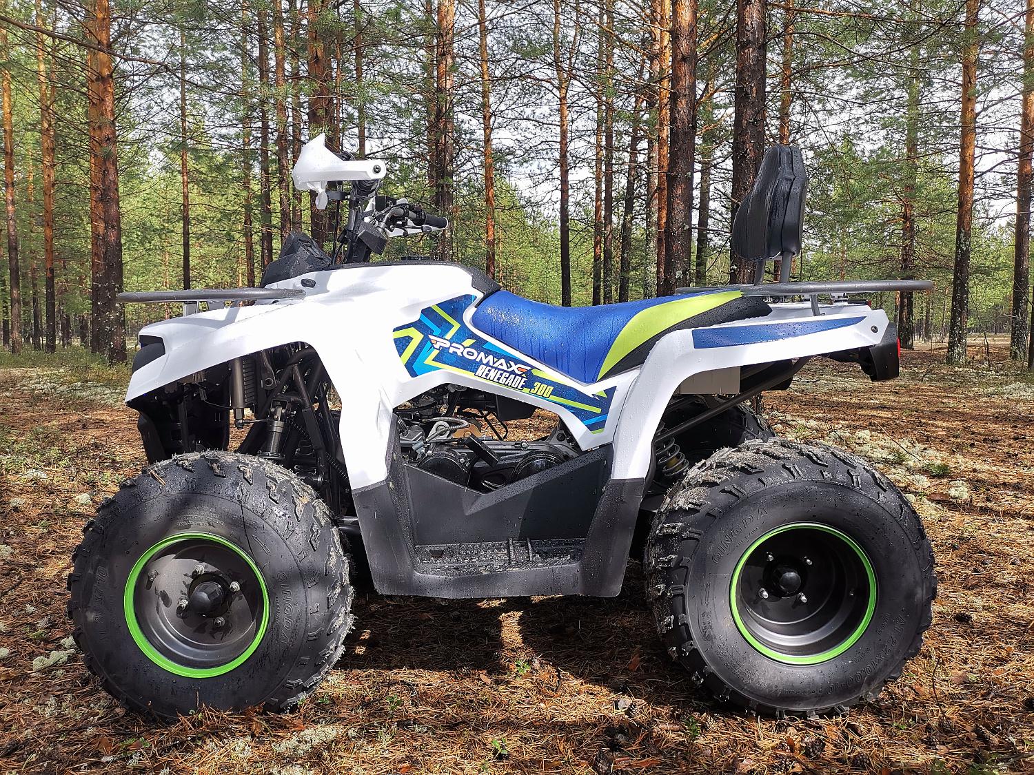 Квадроцикл PROMAX RENEGADE 280 (2025) в Махачкале
