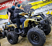 Квадроцикл PROMAX ATV 250 (2025) в Махачкале