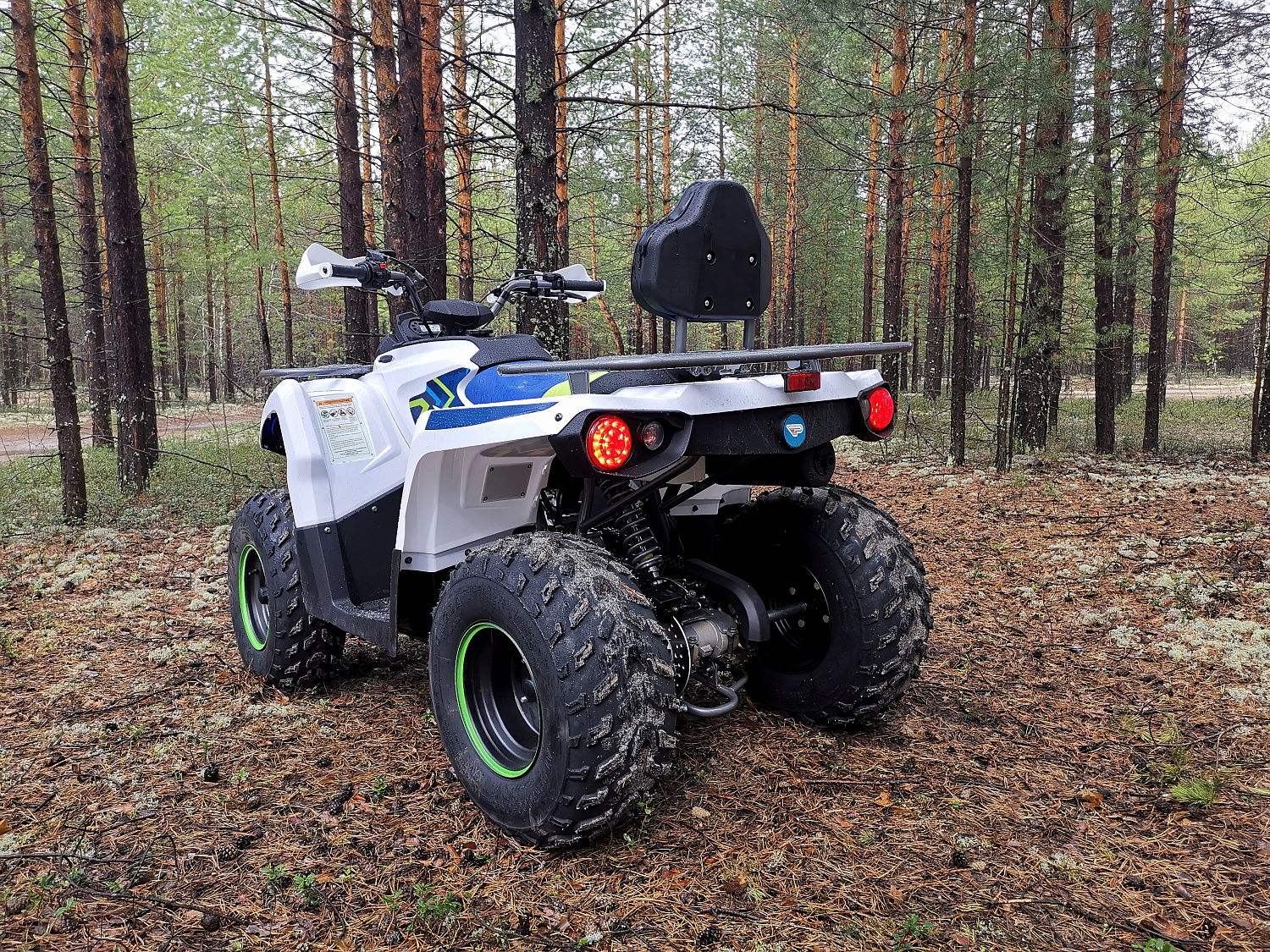 Квадроцикл PROMAX RENEGADE 280 (2025) в Махачкале