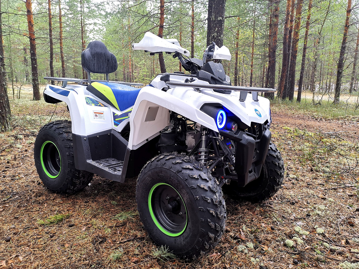 Квадроцикл PROMAX RENEGADE 280 (2025) в Махачкале