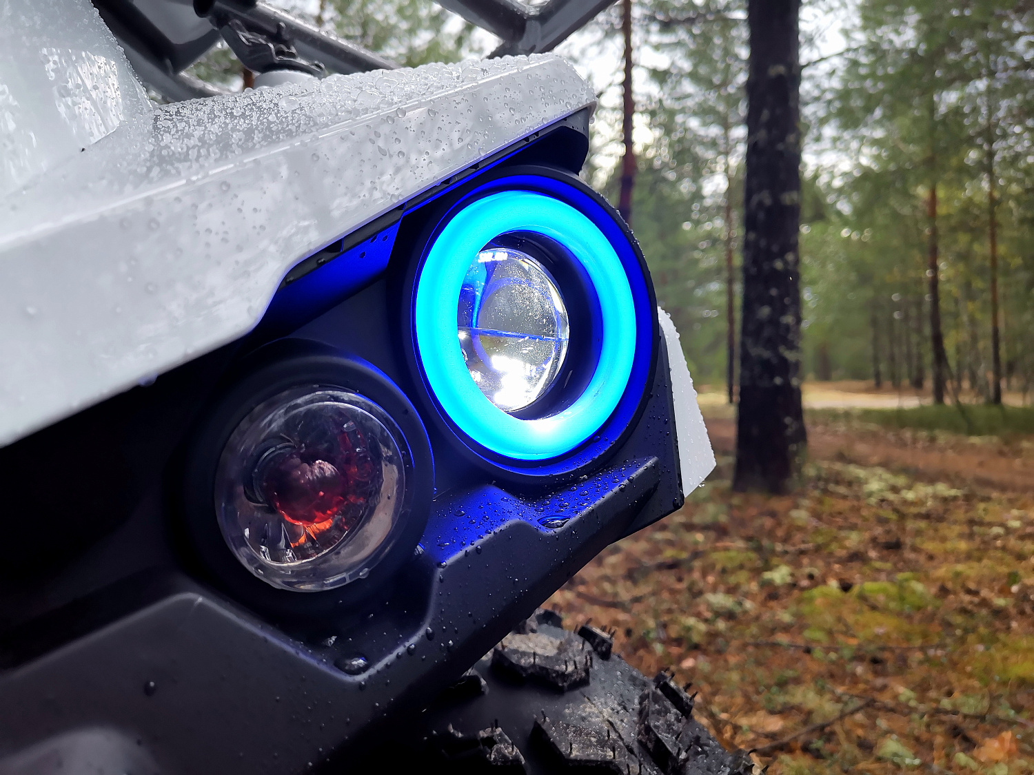 Квадроцикл PROMAX RENEGADE 280 (2025) в Махачкале