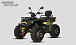 Квадроцикл PROMAX TAURUS 300 MAX-PRO LONG в Махачкале